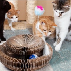 Magic Organ Cat Scratch Board Cat Toy with Bell Cat Grind Claw Climbing Corrugated Paper Cat Scratch Toy Cat Product