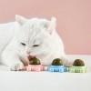 Pet Cat Toys Catnip Wall Ball Rotating Ball Molar Teeth Happy Interactive Cat Toy Self Adhesive Cat Nip Tooth Cleaning
